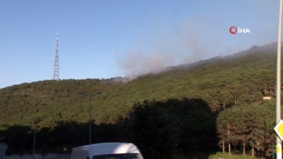  Maltepe'de yine orman yangını çıktı