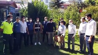 emniyet teskilati -  Belediye Başkanı tatlı yerine kurbanlık götürdü Videosu