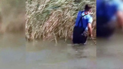 sokak kopegi -  Gölde mahsur kalan köpeği itfaiye kurtardı Videosu