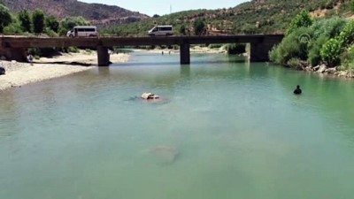 kopek - Kaybolan 4 yaşındaki Miraç'ın bulunması için çalışmalar hem karada hem de Dicle Nehri'nde sürüyor - drone - DİYARBAKIR Videosu