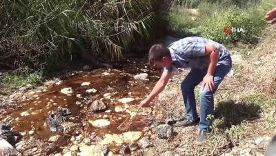 dere yatagi -  Silivri’de dereye akan zehirli madde iddiası Videosu