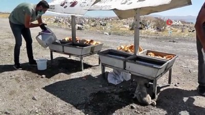 Erciş Belediyesi sıcaktan bunalan hayvanları unutmadı