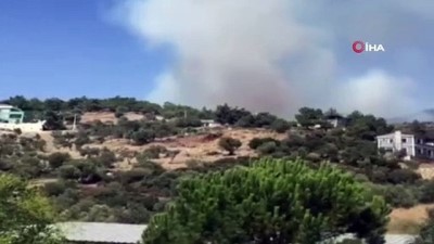  İzmir'de orman yangını