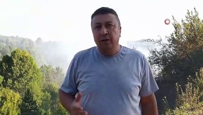 orman arazisi -  Kastamonu’da 1 hektarlık ormanlık alan yangında zarar gördü Videosu