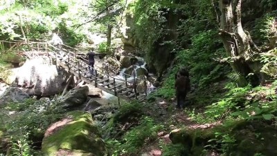 yuruyus yolu - Kastamonu'nun keşfedilmeyi bekleyen güzelliği: Poyracık Şelalesi Videosu