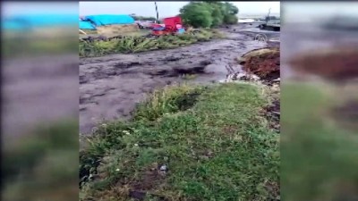 kamera - Sele kapılan dananın sudan çıkma mücadelesi görüntülendi - ARDAHAN Videosu