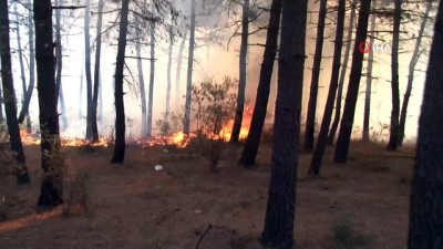 kazma kurek -  Aydos Ormanında çıkan yangın kontrol altına alındı Videosu