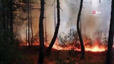 yangin panigi -  Aydos Ormanında yangın paniği Videosu
