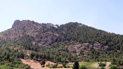 yukselen - Denizli'de orman yangını Videosu