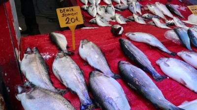 alabalik -  Kurban Bayramı’nın ardından balığa olan ilgi arttı Videosu