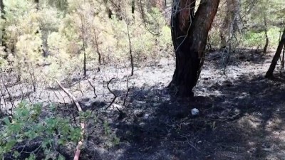 inceler - Orman yangını kontrol altına alındı (2) - DENİZLİ Videosu