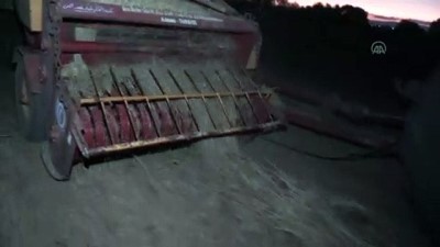 hava sicakligi - Sıcaktan bunalan çiftçiler hasatlarını gece yapıyor - AĞRI Videosu