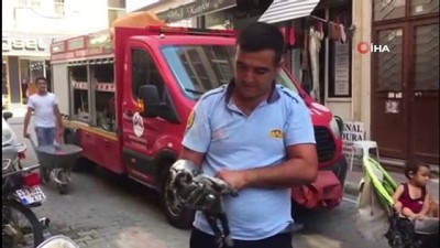 itfaiye araci -  Motosiklet kaportasına sıkışan kediyi itfaiye kurtardı Videosu