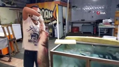 balikci esnafi -  Bir buçuk metrelik yayın balıklarına büyük ilgi; tanesi 2 bin liradan satılıyor Videosu