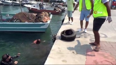 hassasiyet -  - Didim’de deniz dibinde temizlik yapıldı Videosu