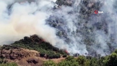 ormanli -  Elazığ’da orman yangını Videosu