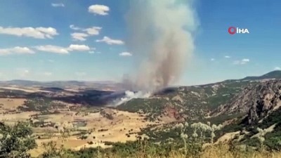 surgun -  Elazığ’daki orman yangını kontrol altına alınmaya çalışılıyor Videosu
