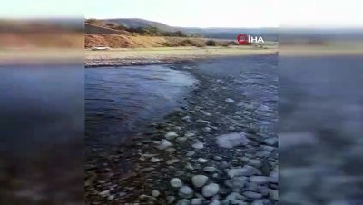 olu balik -  Osmancık’taki balık ölümleri endişelendirdi Videosu