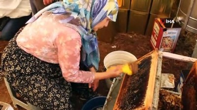 iklim degisikligi -  Çam balı üretiminde yüzde 35-40 kayıp: 'Fiyat 500 liranın üstünde olacak' Videosu