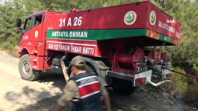 orman alani -  Hatay'da orman yangını: 3 hektar alan zarar gördü Videosu