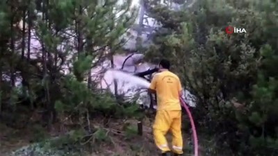  Nallıhan'daki orman yangını devam ediyor