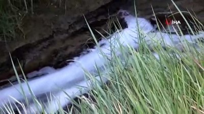 olu balik -  Hatay’da binlerce balık telef oldu Videosu