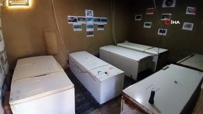  Hobi olarak başladı, uluslararası fuara davet edildi