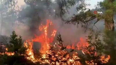  Lübnan'da orman yangını: 14 yaralı