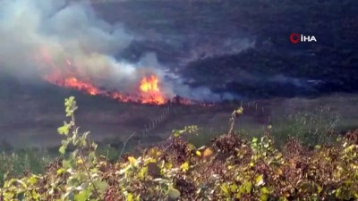  Arnavutköy’de çalılık alanda yangın