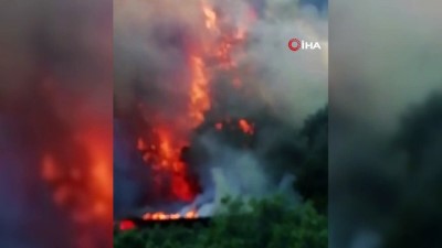 ormana -  Bursa'da korkutan yangın... Tavuk çiftliğinde başlayan yangın ormana sıçradı Videosu