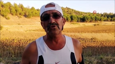 memur emeklisi - Eşi 'sen yapamazsın' dedi, o ise 20 yıldır günde 20 kilometre koşuyor Videosu