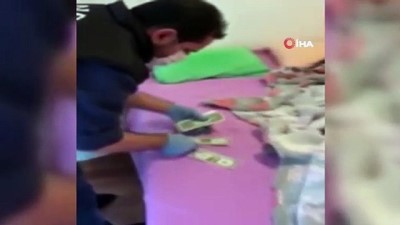  FETÖ şüphelilerinin adreslerinde 1 dolar bulundu