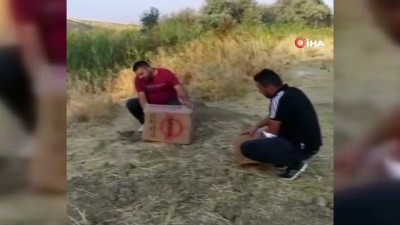  Gercüş’te doğaya 20 sülün bırakıldı