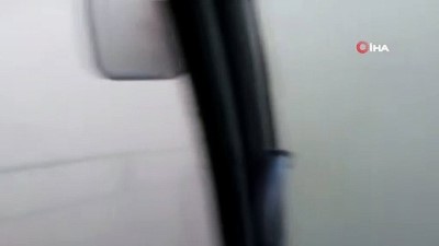 kacis -  Polatlı'daki toz fırtınası sırasında büyükbaş hayvanların kaçışı kameralara yansıdı Videosu