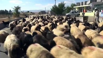  Göçerlerin zorlu yolculuğu başladı