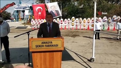  Amasya Şeker’de 67. pancar alım kampanyası başladı