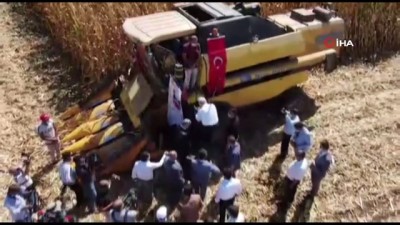  Diyarbakır'da mısır hasadı başladı