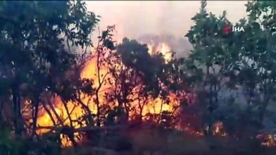  Elazığ'da orman yangını...Çok sayıda ekip sevk edildi