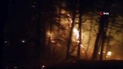  Kazdağları’ndaki örtü yangını söndürüldü