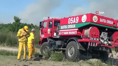  Kızılırmak Deltası'nda yangın devam ediyor