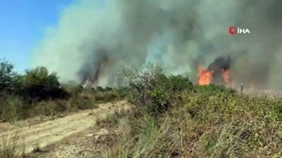  Kızılırmak Deltası’nda yangın