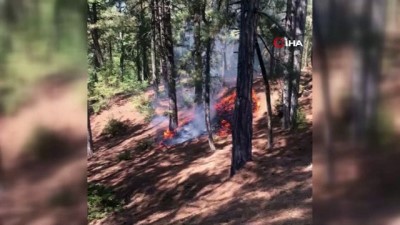  Kozan’da orman yangını