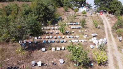 bal uretimi -  Bakanlıktan, Mustafakemalpaşa bal ormanına onay Videosu