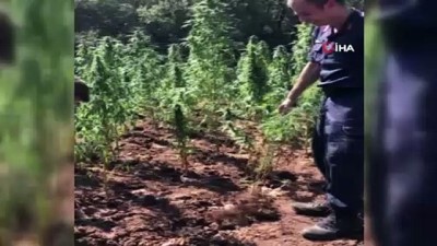 kamu arazisi -  Manisa'da uyuşturucu operasyonu Videosu