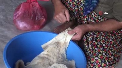 unluler -  Bu peynir bir yılda sofraya geliyor Videosu