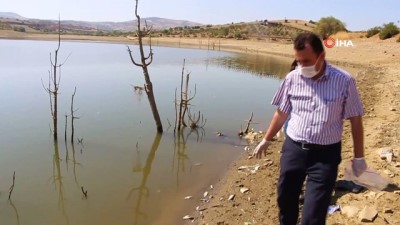 oksijen -  Manisa'da sular çekildi, binlerce balık telef oldu Videosu