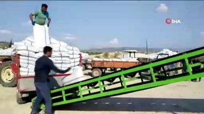  TMO, Buldanlı üzümcüleri rahatlattı