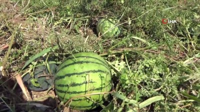  Köylü ‘Yeni Sanayi Sitesi’ne karşı arazilerine sahip çıktı