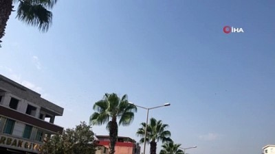 sonbahar -  Adana’da leyleklerin göç yolculuğu Videosu