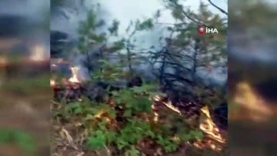  Amasya'da orman yangını yeniden başladı